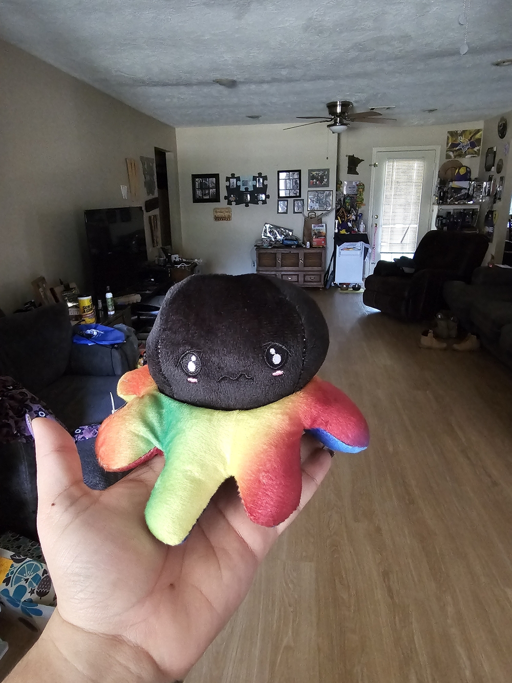 Rainbow Plush Octopus Soft Toy - Black Head